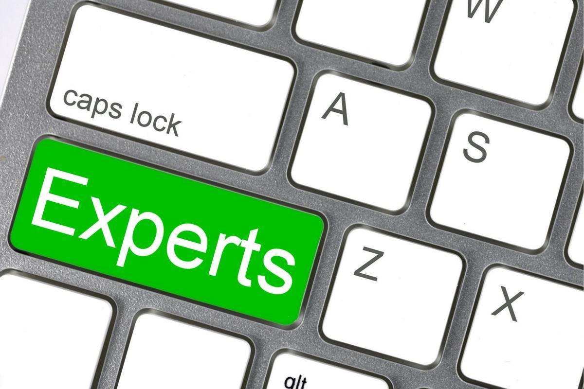 Experts